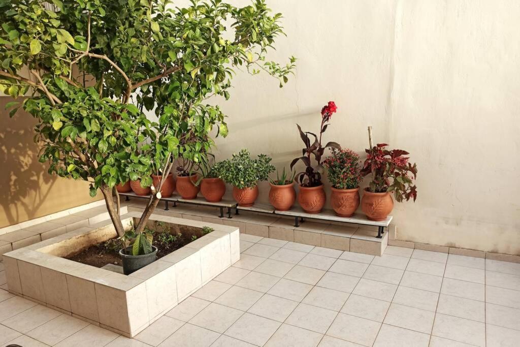 Jilda S Apartment With Private Garden! Нафплион Екстериор снимка